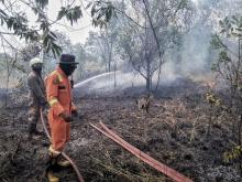 Lahan di Bintan Terbakar Lagi, Damkar Butuh 7 Jam Padamkan Api