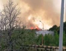 Kebakaran Hutan Pulau Merak Ancam Tangki Minyak Milik BC Kepri
