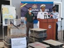 Penyelundupan Burung Murai, Dua WNI Tewas Tertembak Petugas Maritim Malaysia