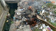 Buang Bayi di Tong Sampah, Nitizen Hujat Pelaku di Medsos
