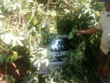 Ertiga Putih Nyungsep di Semak-Semak Mukakuning