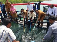 Panen Kerapu Putih, SMKN 1 Bintan Jadi Percontohan Budidaya Ikan