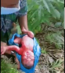 Warga Nongsa Temukan Bayi Dibuang dalam Kantong Kresek