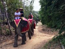 Tak Perlu Jauh-jauh ke Thailand Lihat Gajah, di Lagoi Kini Ada