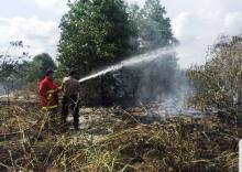 Dua Hektare Lahan di Bintan Diduga Sengaja Dibakar