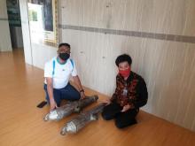 Meriam Era Kolonial Jadi Koleksi Terbaru Museum Raja Ali Haji