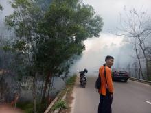 [Jurnalisme Warga] Baru Saja, Kebakaran Terjadi di Hutan Sei Ladi!