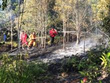 Hutan Lindung Punggur Terbakar, Petugas Kesulitan Padamkan Api