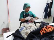 Dokter Forensik Polda Kepri Kabur Usai Autopsi 