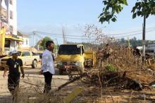 Jalan Arteri Tembus dari Nongsa ke Piayu Segera Terwujud
