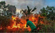 Titik Panas Bermunculan di Kepri, BMKG Imbau Waspadai Kebakaran Lahan