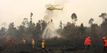  Aktor Pembakaran Lahan di Riau Ditangkap