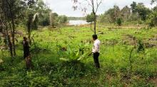 Marak Pembabatan Hutan, Debit Air Waduk Sei Pulai Susut 40 Cm