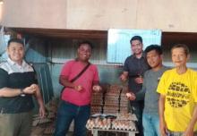 Bintan Mampu Penuhi Kebutuhan Telur Ayam di Kepri dan Jambi