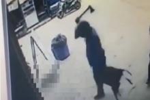 Sadis, Pria di Batam Kampak Kepala Kucing di Parkiran Indomaret