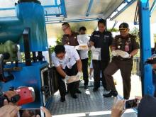 BNNP Kepri Bakar Barang Bukti 6,5 Kilogram Sabu