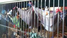 Ironis! Penghuni Rutan di Riau Tidur Bak Kelelawar