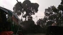 Hujan Es dan Angin Kencang Melanda Bogor, Pohon Bertumbangan
