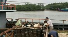 Petugas Pantau Ternak Kurban Dipasok ke Tanjungpinang Bebas Penyakit Ini