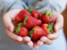 Ketahui 10 Jenis Makanan yang Bisa Meningkatkan Gairah