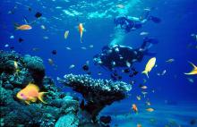 Surga Bahari Sudah Siap Dieksplorasi dalam Festival Pesona Bunaken 2018