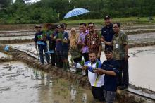 Wabup Natuna Imbau Petani Gunakan Padi Total Organik MA II