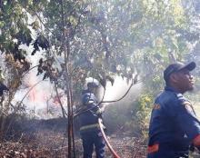 Polisi Buru Dalang Pembakaran Lahan di Galang