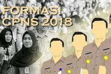 Ini Formasi CPNS Pemkab Lingga, Ada yang Minat?