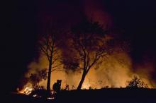 Kebakaran Lahan Nyaris Menjalar ke Kawasan Puri Industrial Park