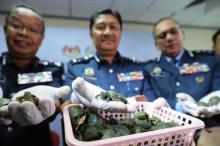 Kastam Malaysia Gagalkan Penyelundupan Ribuan Anak Penyu