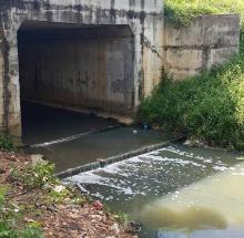 Dam Sei Harapan Diduga Tercemar Limbah Bahan Berbahaya dan Beracun
