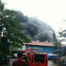 Tidak Ada Korban Jiwa dalam Kebakaran PT Eng Ngiap Plastronic Batam
