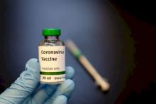 Antibodi Hewan Llama Disebut Berpotensi Jadi Vaksin Corona