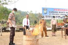 Polres Lingga Musnahkan Biji dan Puluhan Bibit Ganja