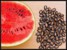 8 Manfaat Biji Semangka untuk Kesehatan