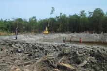 Dinas Perikanan Lingga Kucurkan Rp 1 Miliar untuk Tambak Udang 
