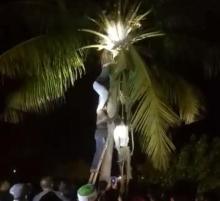 Geger, Jasad Tergantung di Pohon Kelapa Pantai Kuda Laut Karimun