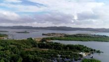 Penghijauan Kembali Hutan dan Lahan untuk Ketersediaan Air Waduk Batam