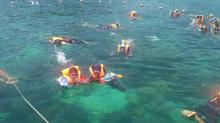 Ini Pulau yang Cocok untuk Bersnorkeling di Batam
