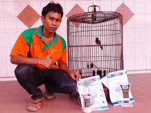 Burung Milik Widiono Ini Sabet Uang Rp 7 Juta Sehari