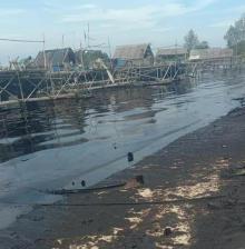 Turis Asing Batal Snorkeling di Bintan Akibat Limbah Minyak 