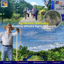 INFOGRAFIS: Agribisnis Temiang, Potensi Wisata Agro di Batam