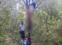 PolisiÃ‚Â Panjat Pohon Turunkan Jasad Sukarmin, Diduga Ini Motif Bunuh Dirinya