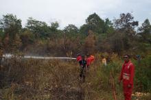 BPBD: Dua Pulau Besar di Lingga Rawan Kebakaran Hutan