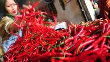 Jelang Ramadhan, Harga Cabai Makin Pedas
