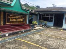 Serangan Tawon Ganas Bikin 2 Pegawai PDAM Kepri Nyaris Pingsan