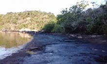 Perairan Bintan Tercemar Parah Minyak Hitam, Apri Sujadi Cuek