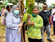 Warga Tembesibengkel Kirab Gunungan Hasil Bumi, Marlin Dapat Sayur dan Buah