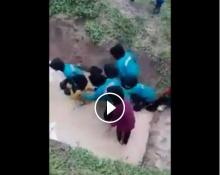 Video Pelajar Wanita Diospek Dalam Kolam Penuh Ular di Malaysia 