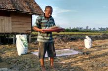 Petani Lingga Optimis Sawah Panggak Darat Berikan Hasil Memuaskan